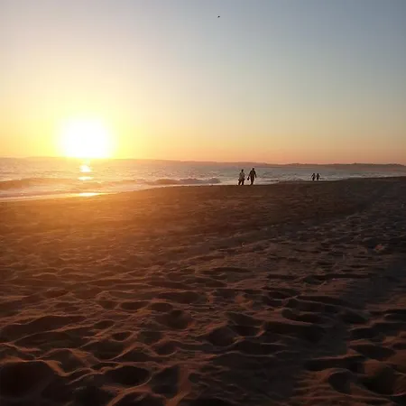 Lägenhet Beachfront In Praia Da *