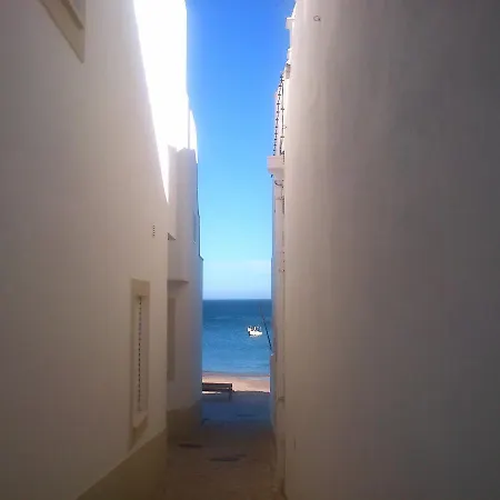 Lägenhet Beachfront In Praia Da